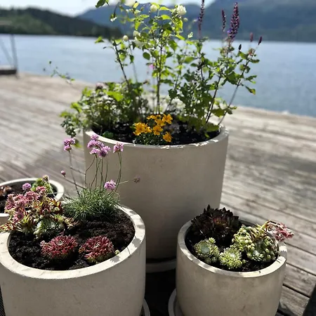 Flatraker Brygge